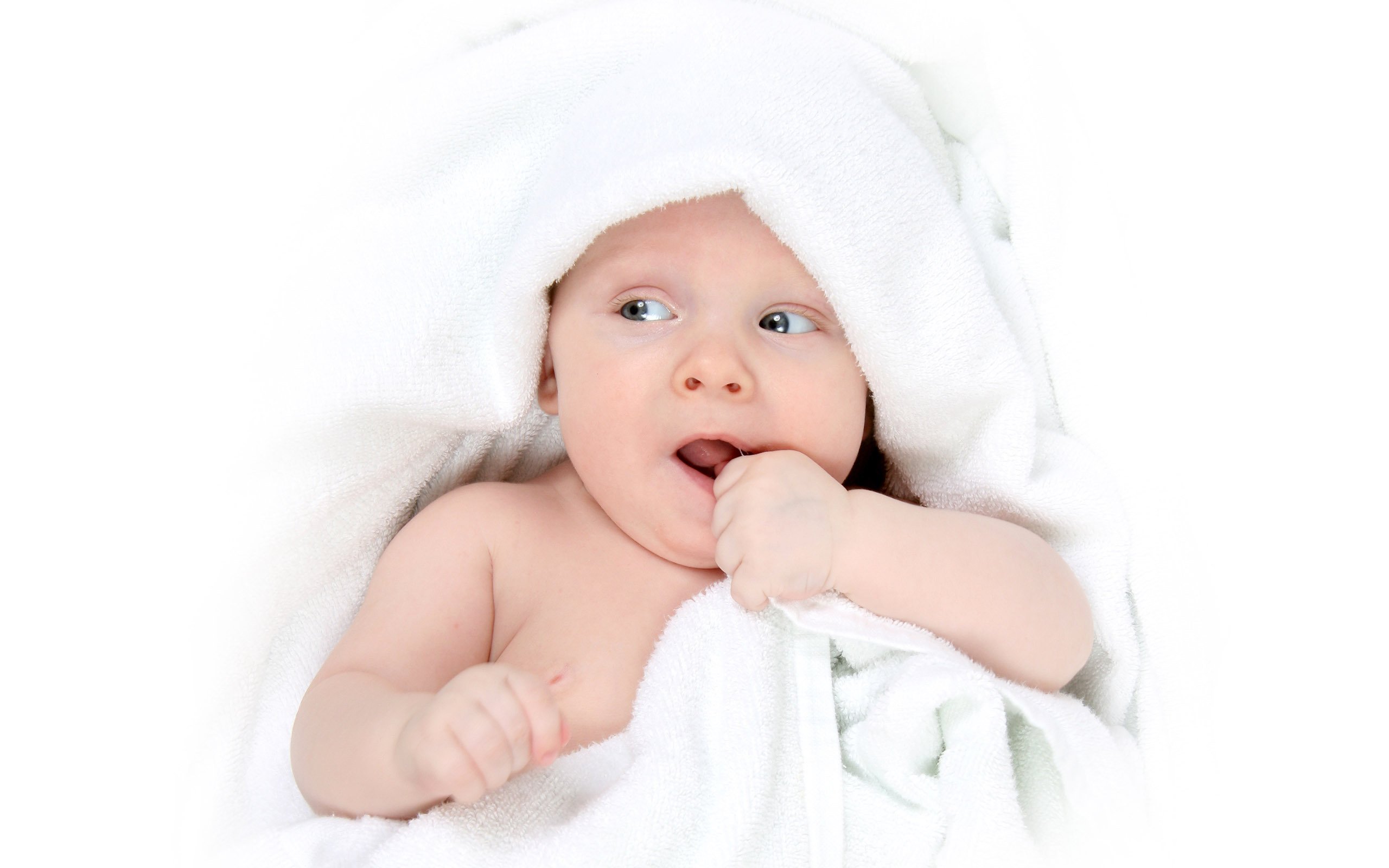 酒泉捐卵子电话早期胚胎培养成功率